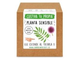 Kit Plantio Planta Sensível, Garden Pocket