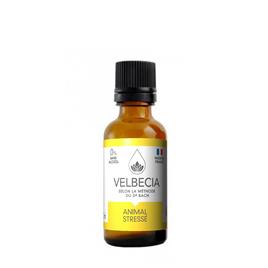 Floral Anti-Stress para Animais VELBECIA