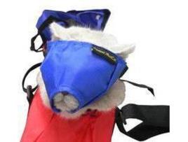 Açaime para Gatos  Nylon (S)