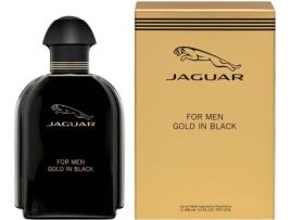 Perfume  Gold In Black Eau de Toilette (100 ml)