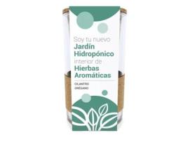 Cultivo Hidropónico Coentro E Orégão