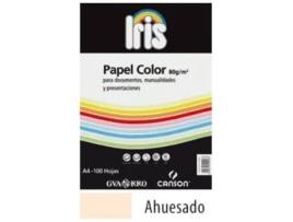 Livro Paquete Iris Repro A4 100h 80g Color Ahuesado Guarro De Desconocido (espanhol)