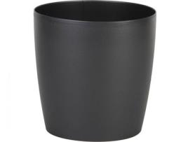 Vaso  Camelia Antracite U (14 x 13.8 cm)