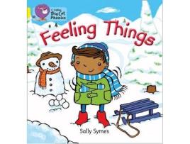 Livro Feeling Things de Sally Symes (Inglês)