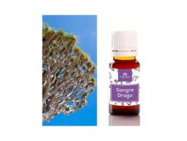 Sangue De Drago Camassia
