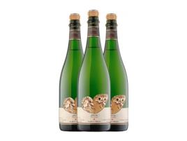Espumante ALBET I NOYA Efecte Ancestral Natural Xarel·lo Penedès (0.75 L - 3 Unidades)