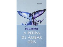 Livro A Pedra De Ámbar Gris de Noa Pérez González (Galego)