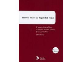 Livro Manual Básico De Seguridad Social de Arantzazu Vicente Palacio (Espanhol)