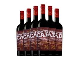 Vinho SUNDRENCHED LAND The Wanted Cabernet Crianza (0.75 L - 6 Unidades)