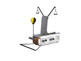 Kingsmith Fbb1c Multifunctional Training Bench King Smith