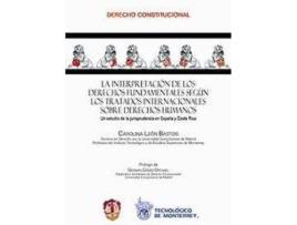 Livro Interpretación De Los Derechos Fundamentales Según Los Tratados Internacionales Sobre Derechos Human de Carolina Leon Bastos (Espanhol)