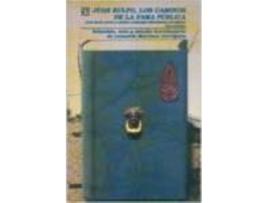 Livro Juan Rulfo : Los Caminos De La Fama Pública : Juan Rulfo Ante La Crítica Literario-Periodística De M de Leonardo Martinez Carrizales (Espanhol)