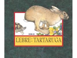 Livro A Lebre E A Tartaruga de Helen Ward