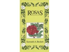 Livro Rosas de Sin Autor (Español)