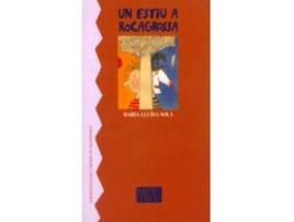 Livro Un Estiu A Rocagrossa de M.Lluisa Sola (Catalão)