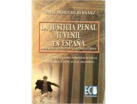 Livro La Justicia Penal Juvenil En España: Legislación Y Jurisprudencia Constitucional de Tomás Montero Hernanz (Espanhol)