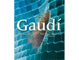 Livro Gaudí de Pere Vivas Ortiz (Espanhol)