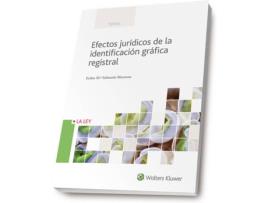 Livro Efectos Jurídicos De Identificación Gráfica Registral de Esther Mª Salmeron Manzano (Espanhol)