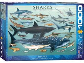 Puzzle 2D  Sharks 1000pcs