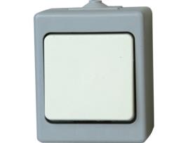 Interruptor  564348006