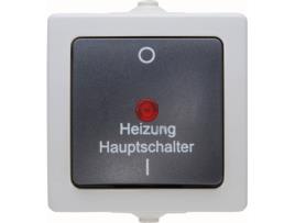 Interruptor  565356002