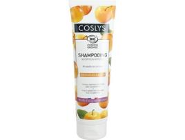 Champô  Cabelo Muito Seco e Danificado (250 ml)