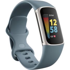 Pulseira de Atividade Fitbit Charge 5 - Aço Azul / Platina Aço Inoxidável