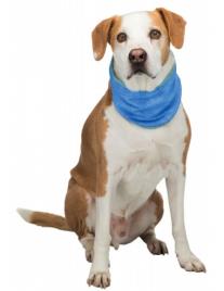 Lenço De Arrefecimento L - Refrescar Cachorro