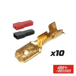 TERMINAL FASTON MACHO 6.35MM 10X C/ CAPAS