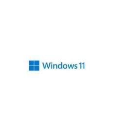 ms Windows 11 Home 64b dsp