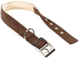 Coleira para Cães  Daytona (Castanho - 35-43 x 2 cm - Nylon)
