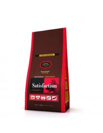 Satisfaction Regular Medium Adulto Medio 15kg