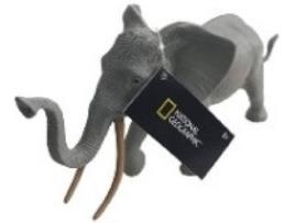 Figura  Elefante Selvagem (30, 5 cm)