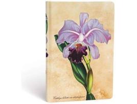 Livro Bot, Brazilian Orchid, Mini, Unl de Paperblanks (Inglês)