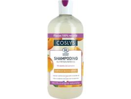 Champô  Cabelo Seco e Danificado (500 ml)