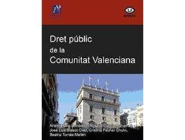 Livro Dret públic de la Comunitat Valenciana de Rallo Lombarte, Artemi (Valenciano)