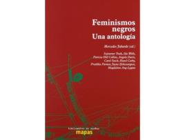 Livro Feminismos Negros. Una Antologia de Mercedes Jabardo (Espanhol)