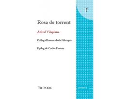 Livro Rosa De Torrent de Alfred Vilaplana (Catalão)