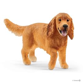 Cocker Spaniel Inglês