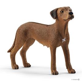 Cão da Rodésia