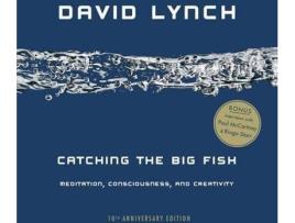 Livro Catching The Big Fish (10Th Anniversary Edition) De David Lynch (Inglês)