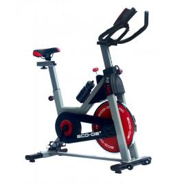 Bicicleta de biking