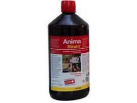 Complemento Alimentar para Cães  Suplemento (1L)