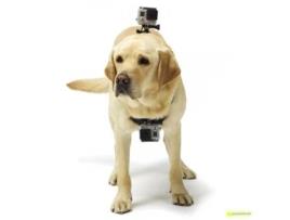 Pet Harness câmera