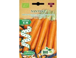 Sementes  Bio Sementes Cenoura Nantes Fita 4 M