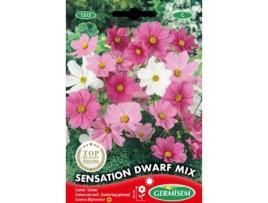 Sementes GERMISEM Cosmos Sensation Anão Mix