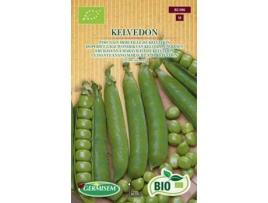 Sementes  Bio Sementes Ervilha Anã Maravilha De Kelvedon - Para Grão