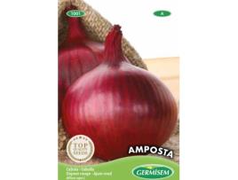 Sementes  Cebola Vermelha De Amposta