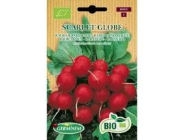 Sementes  Bio Sementes Rabanete Scarlet