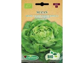 Sementes  Bio Sementes Alface Suzan